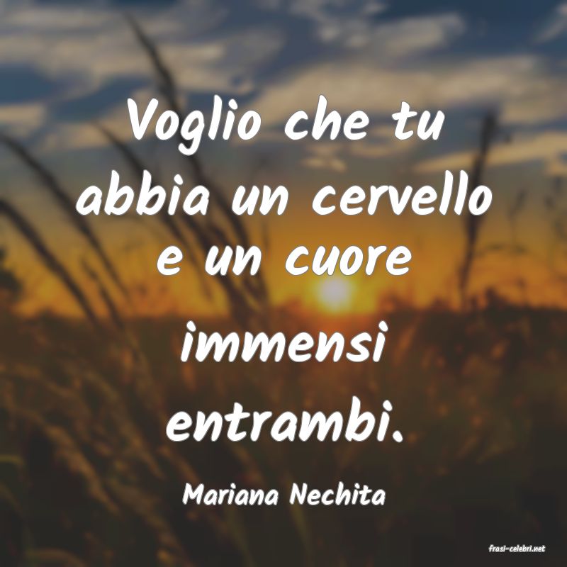 frasi di  Mariana Nechita
