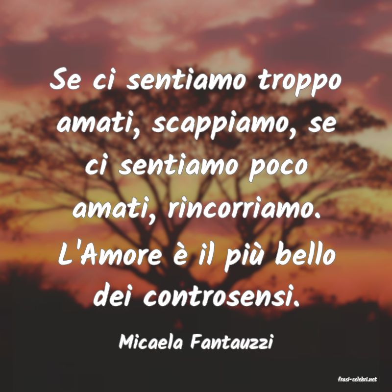 frasi di  Micaela Fantauzzi
