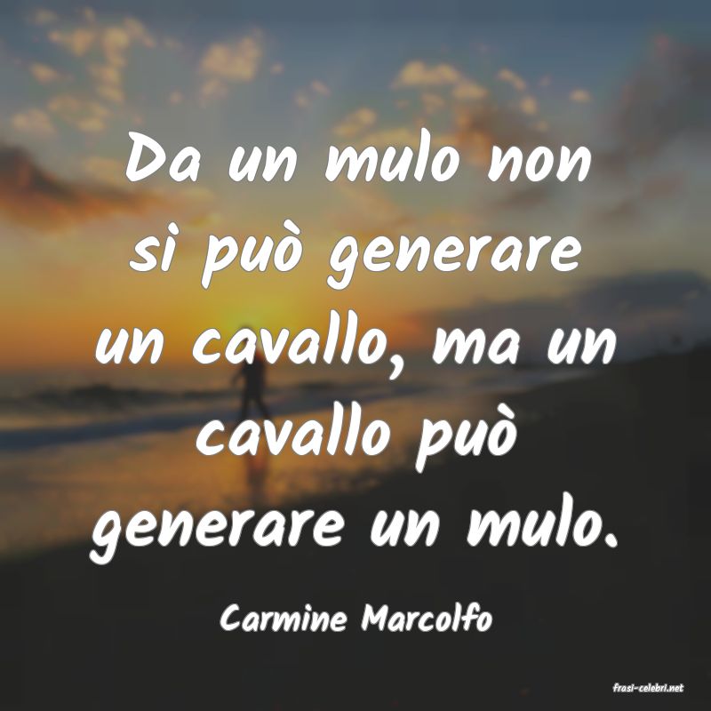 frasi di  Carmine Marcolfo
