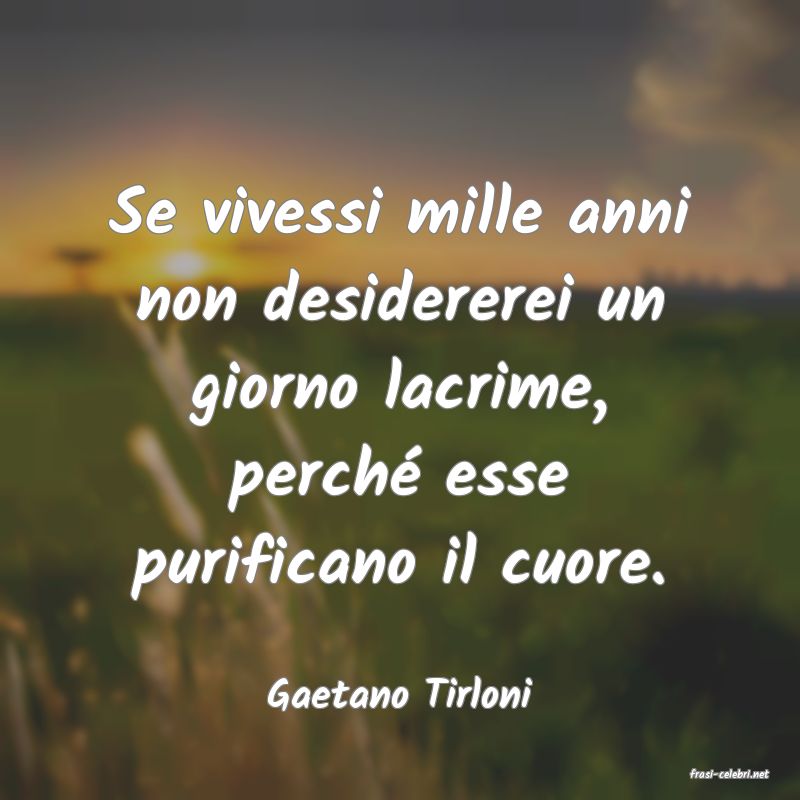 frasi di  Gaetano Tirloni
