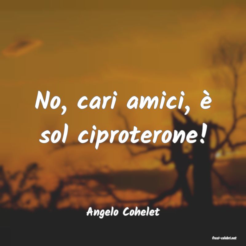 frasi di  Angelo Cohelet
