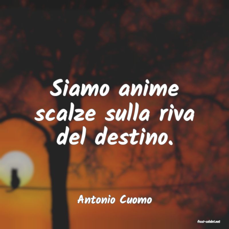 frasi di  Antonio Cuomo
