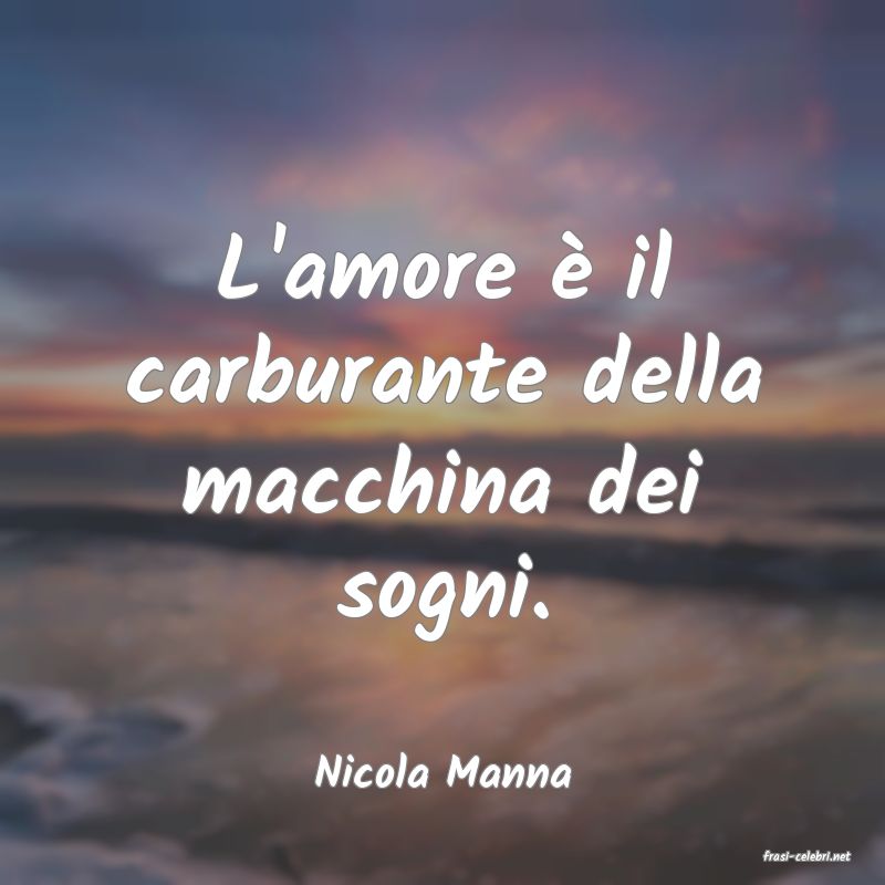 frasi di  Nicola Manna
