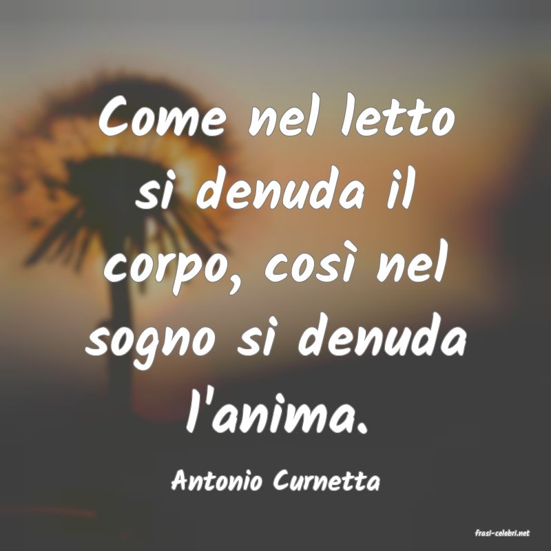 frasi di  Antonio Curnetta
