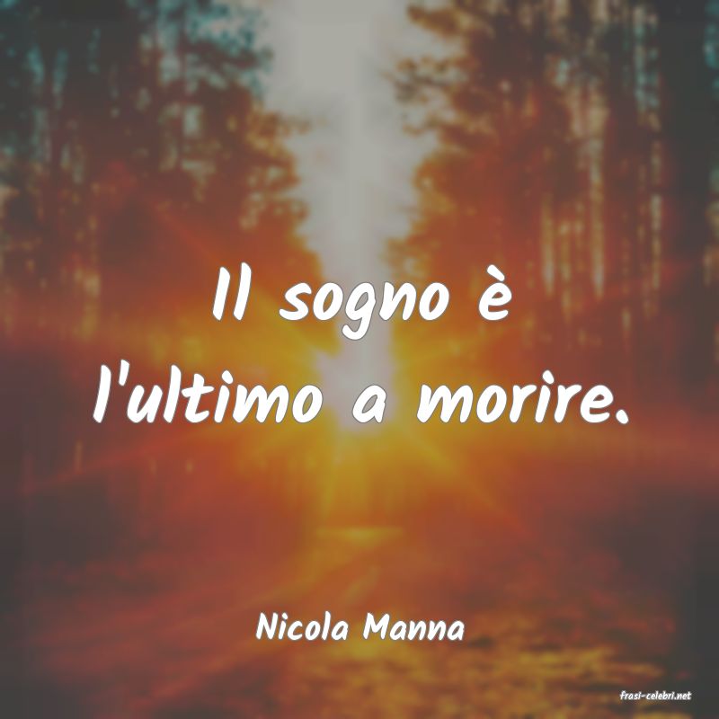 frasi di  Nicola Manna
