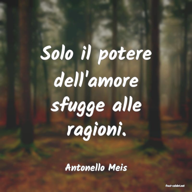 frasi di  Antonello Meis
