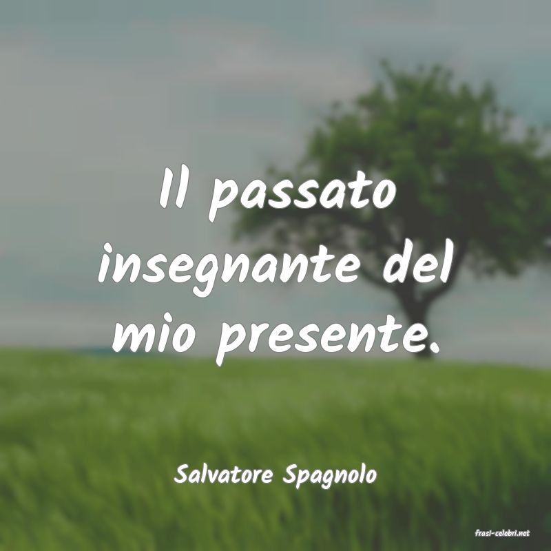 frasi di  Salvatore Spagnolo
