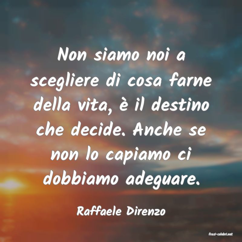 frasi di  Raffaele Direnzo
