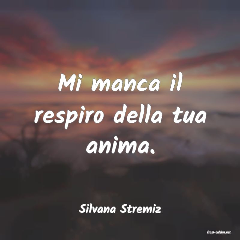 frasi di  Silvana Stremiz
