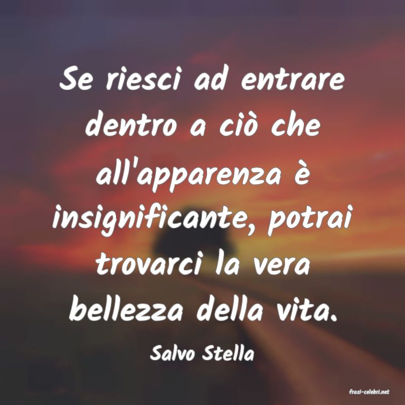 frasi di  Salvo Stella
