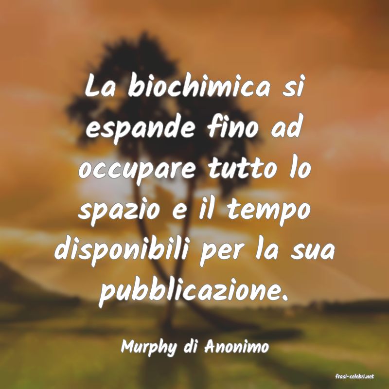 frasi di Murphy di Anonimo