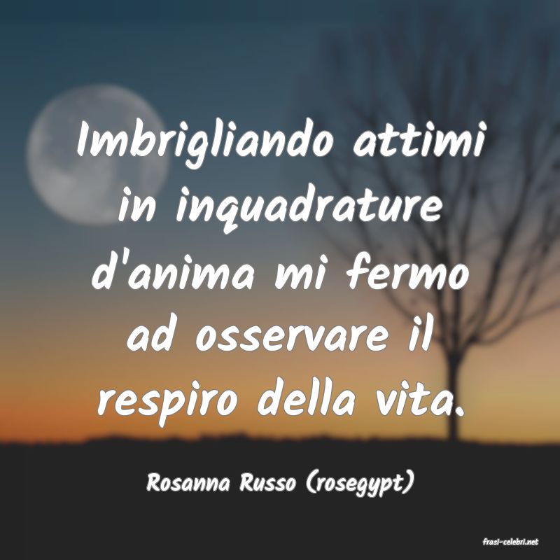 frasi di  Rosanna Russo (rosegypt)
