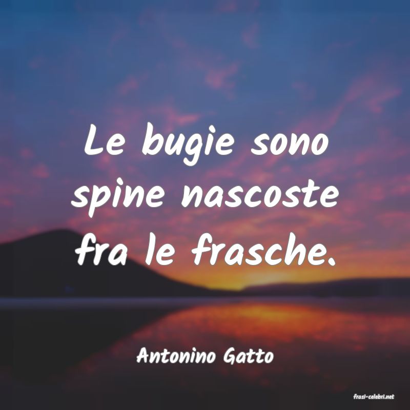 frasi di  Antonino Gatto
