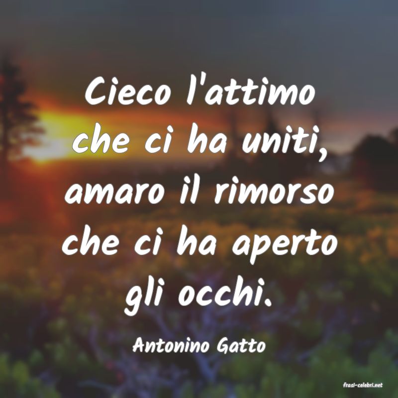 frasi di  Antonino Gatto
