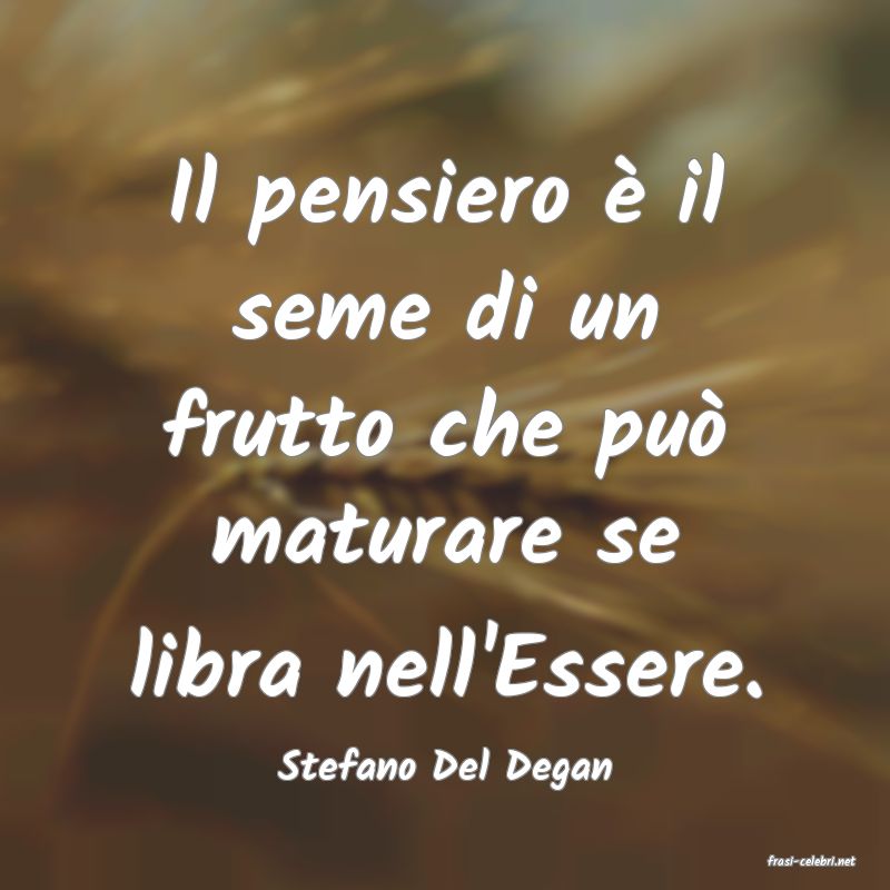 frasi di  Stefano Del Degan
