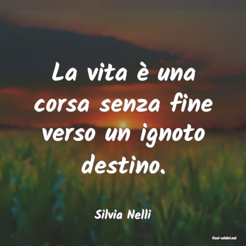 frasi di  Silvia Nelli
