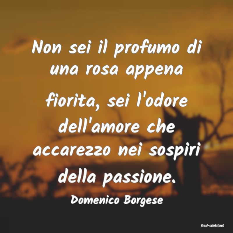 frasi di  Domenico Borgese
