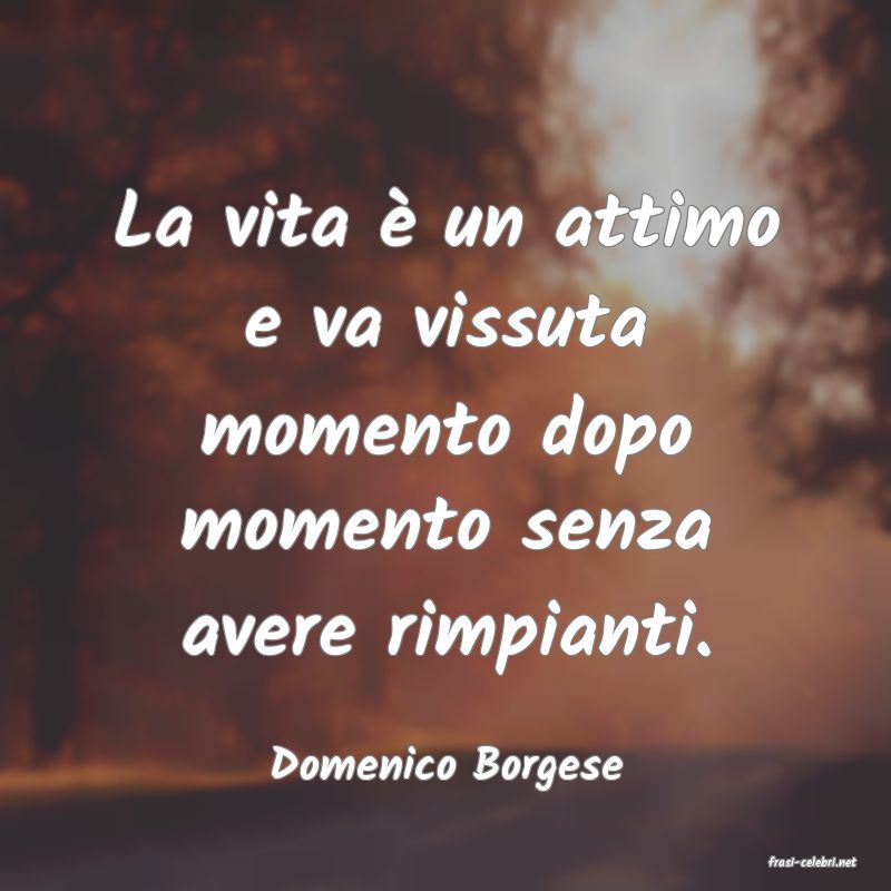 frasi di  Domenico Borgese
