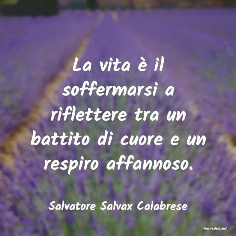 frasi di  Salvatore Salvax Calabrese
