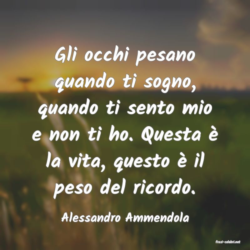 frasi di  Alessandro Ammendola
