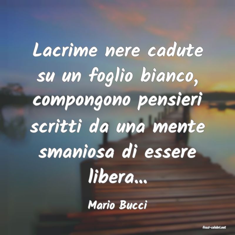 frasi di  Mario Bucci
