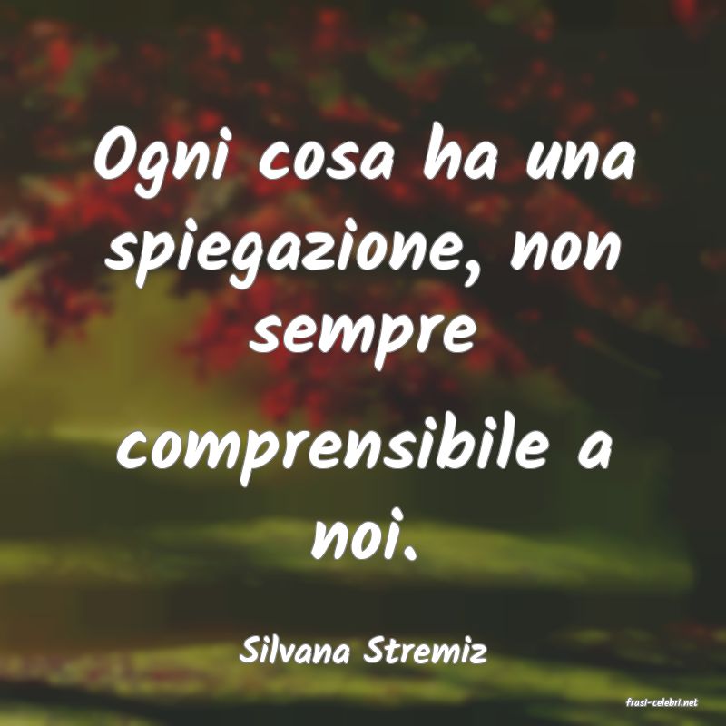 frasi di Silvana Stremiz