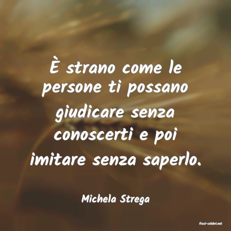 frasi di  Michela Strega
