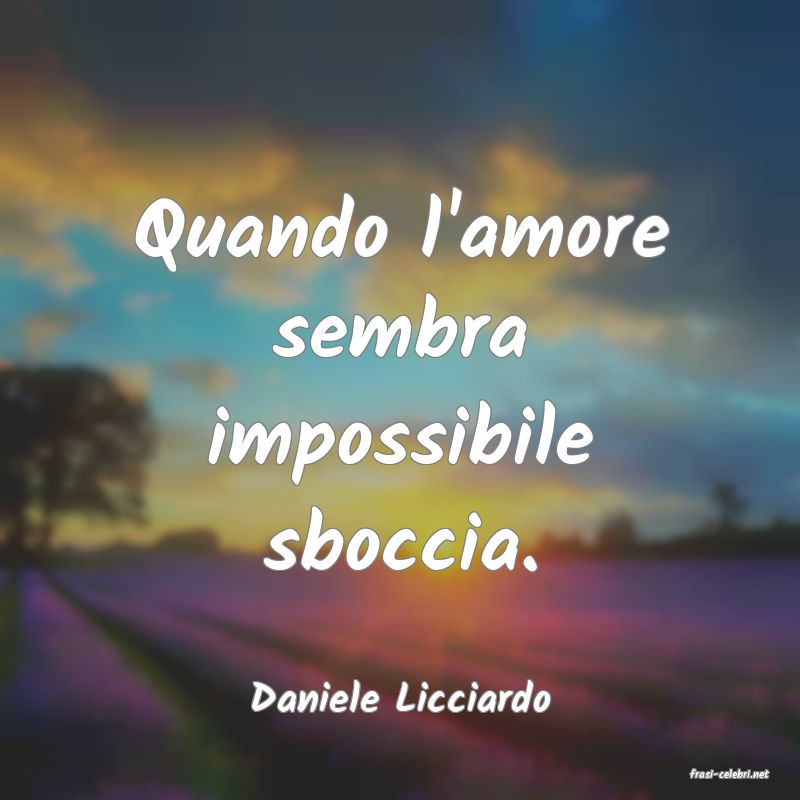 frasi di  Daniele Licciardo
