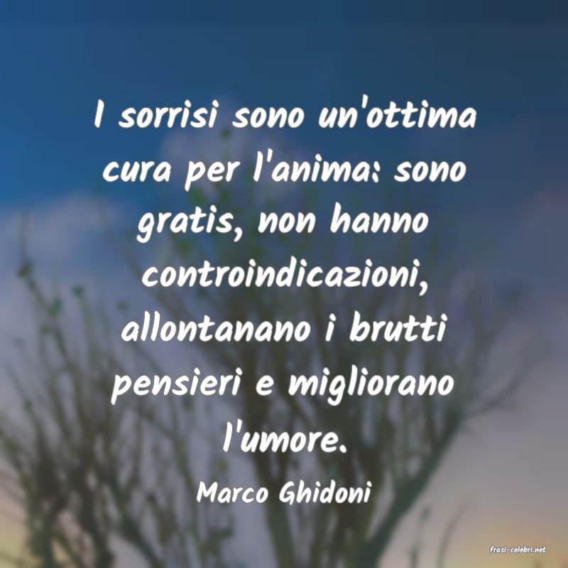 frasi di  Marco Ghidoni
