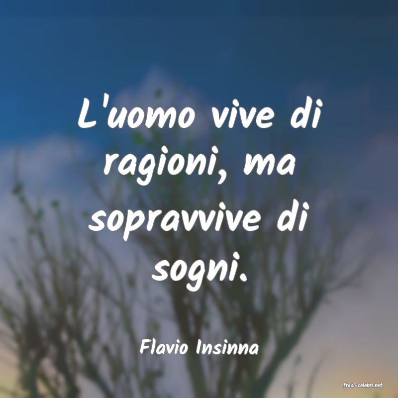 frasi di  Flavio Insinna
