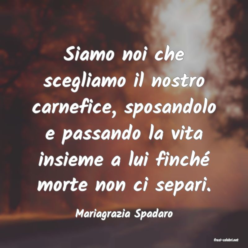 frasi di  Mariagrazia Spadaro
