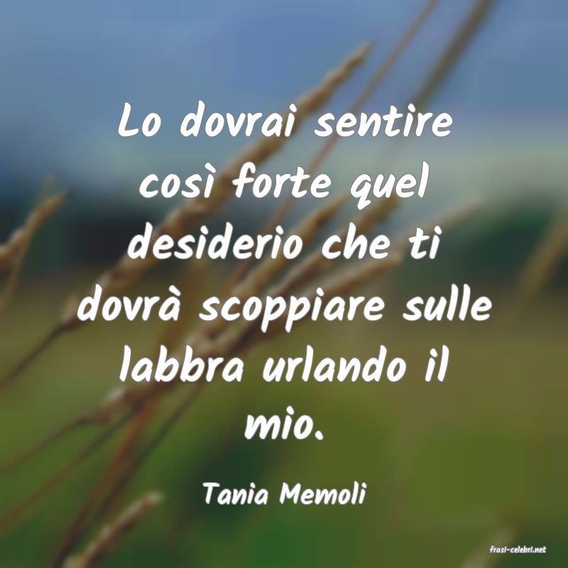 frasi di  Tania Memoli
