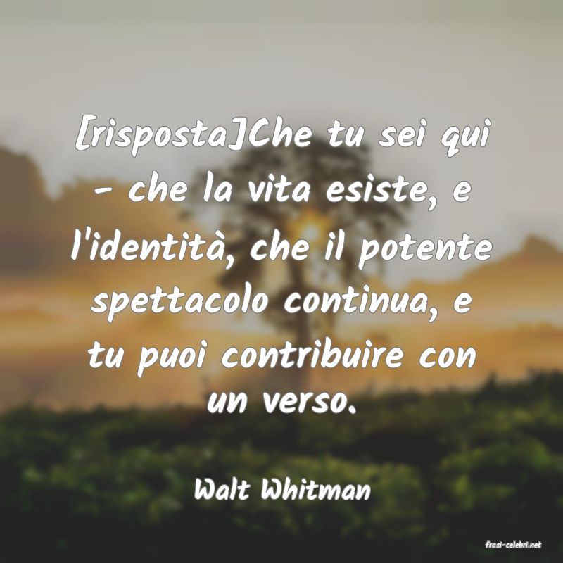 frasi di  Walt Whitman
