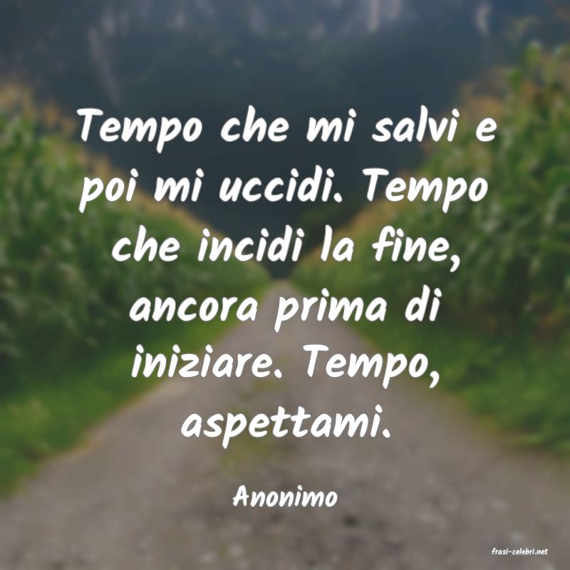 frasi di  Anonimo
