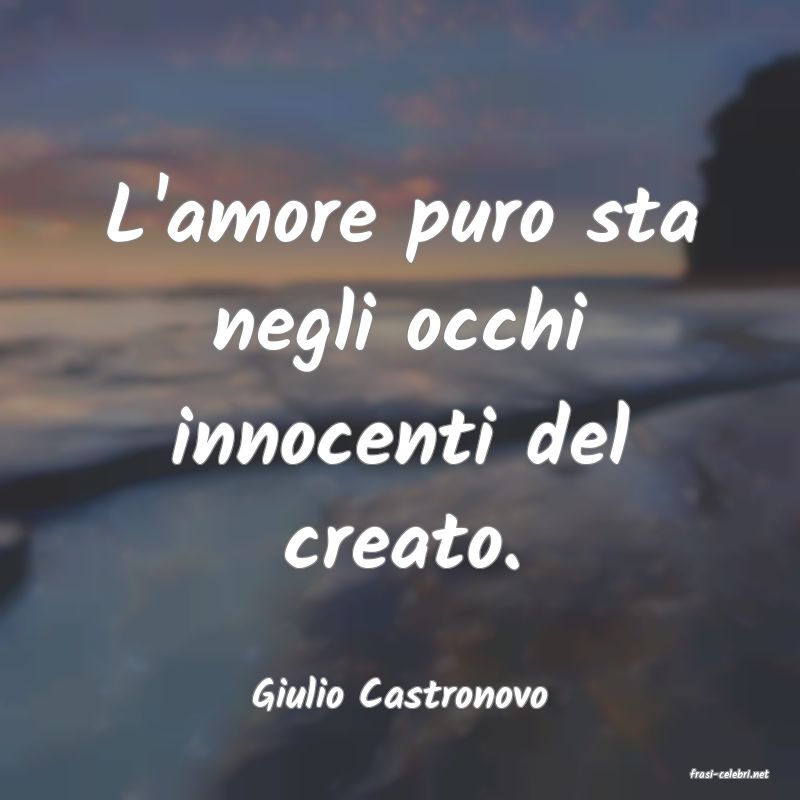 frasi di  Giulio Castronovo
