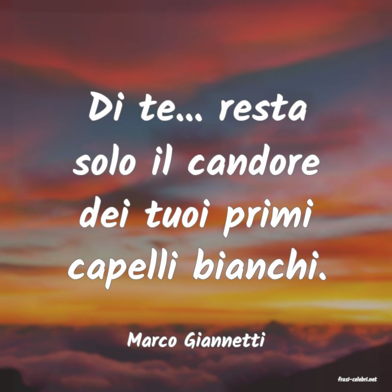 frasi di  Marco Giannetti
