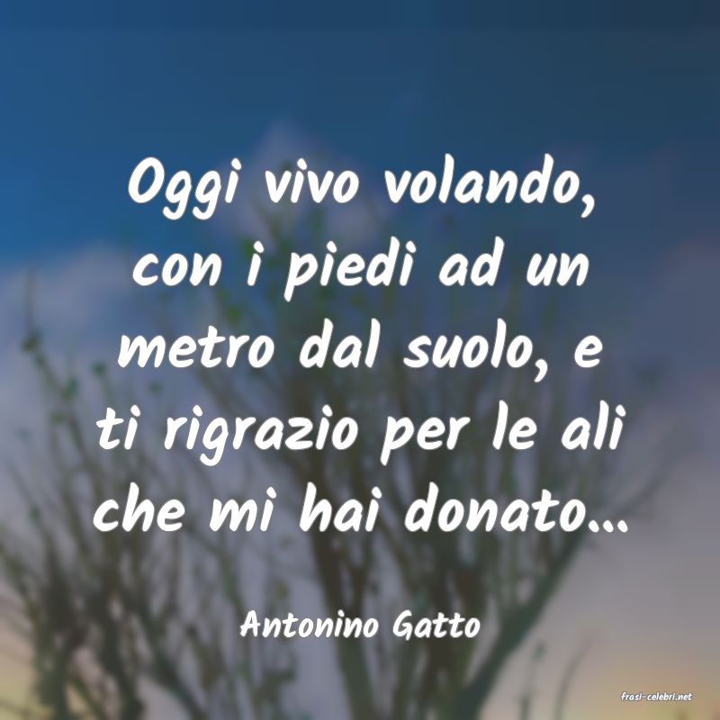 frasi di  Antonino Gatto
