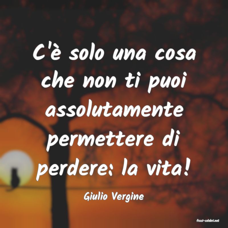 frasi di  Giulio Vergine
