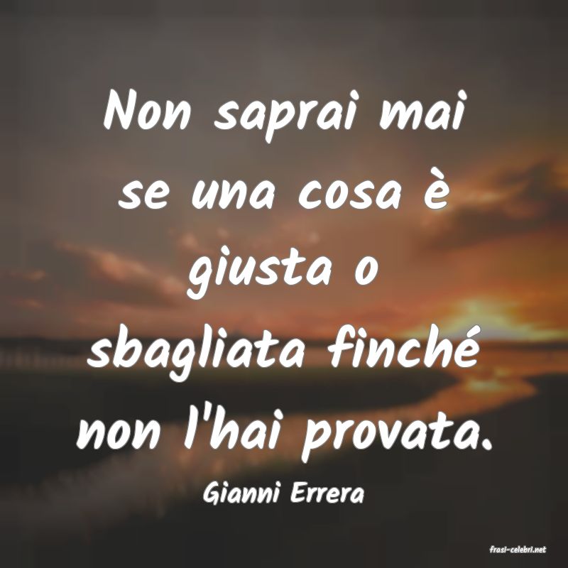 frasi di  Gianni Errera
