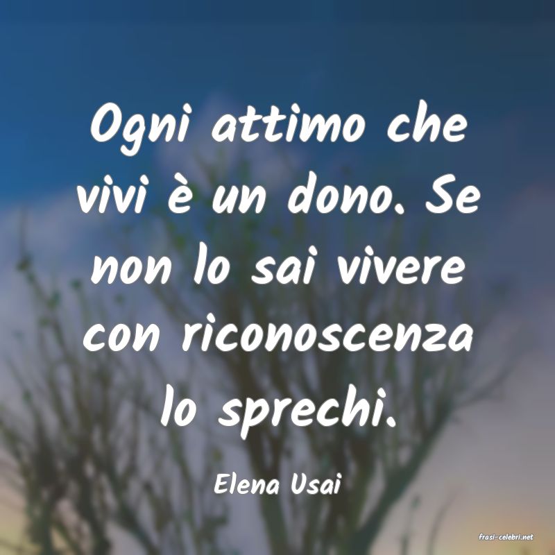 frasi di  Elena Usai
