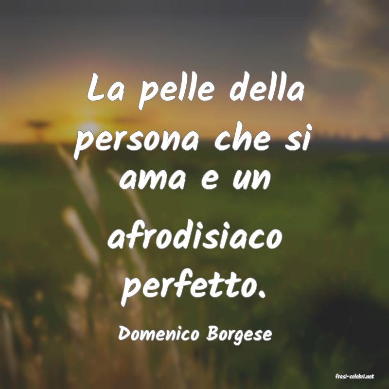 frasi di  Domenico Borgese
