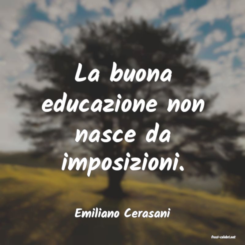 frasi di  Emiliano Cerasani
