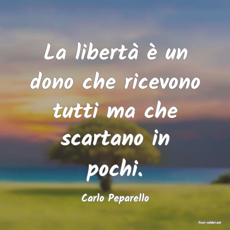 frasi di  Carlo Peparello
