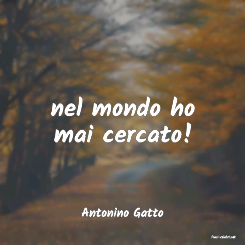 frasi di  Antonino Gatto
