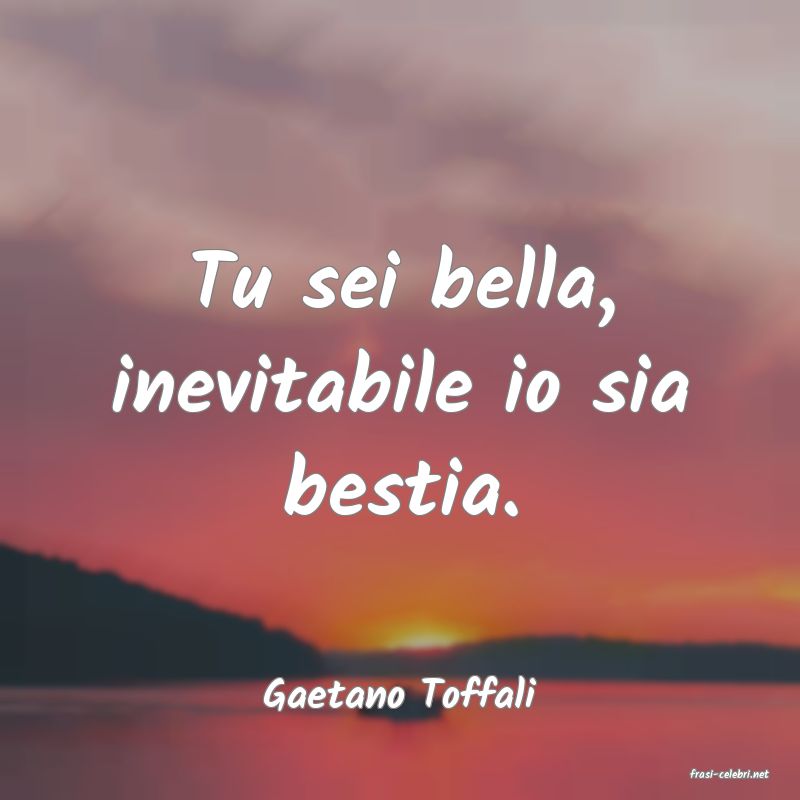 frasi di  Gaetano Toffali
