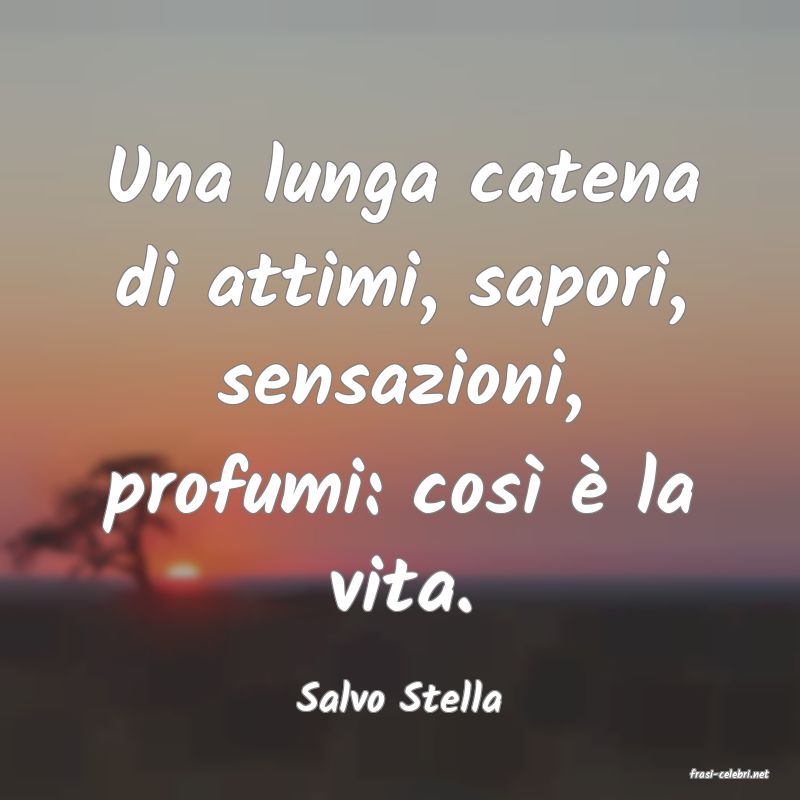 frasi di  Salvo Stella
