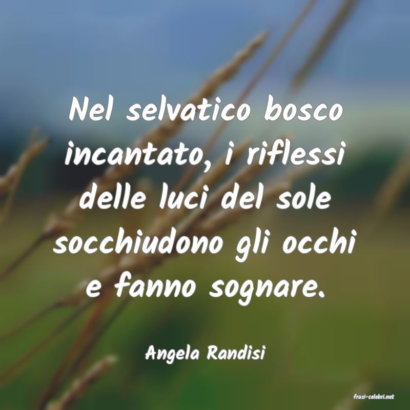 frasi di  Angela Randisi
