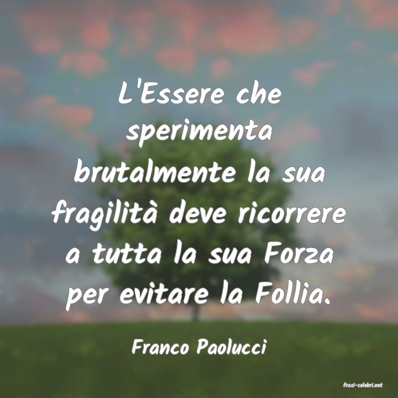 frasi di  Franco Paolucci
