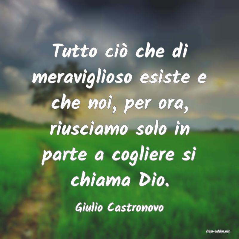 frasi di  Giulio Castronovo
