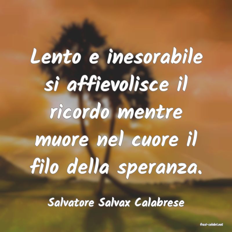 frasi di  Salvatore Salvax Calabrese
